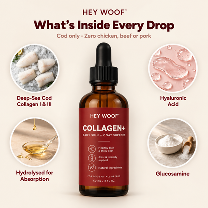 HeyWoof Collagen+ | Daily Skin & Coat Support for Dogs
