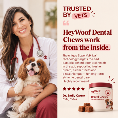 HeyWoof Dental Chews | Daily Oral Care + Gut Health