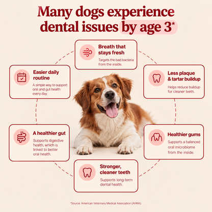 HeyWoof Dental Chews | Daily Oral Care + Gut Health