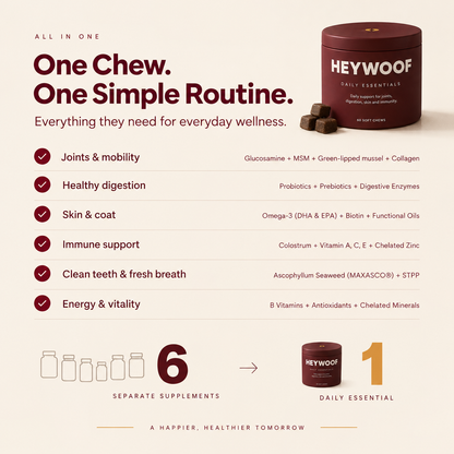 HEYWOOF Daily Essentials