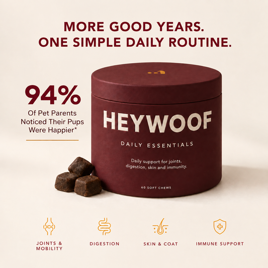 HEYWOOF Daily Essentials