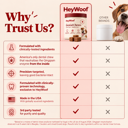 HeyWoof Dental Chews | Daily Oral Care + Gut Health